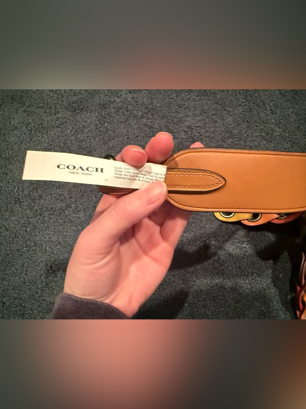 Coach Brown Leather Satchel with Multicolor Strap - Picture 7 of 7